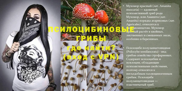 эйфоретик Майский