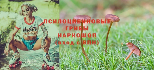 эйфоретик Майский