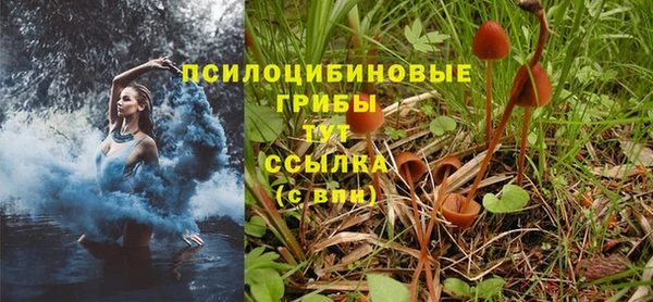 МДМА Лиски