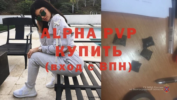эйфоретик Майский