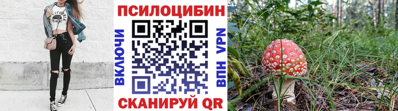 блэк спрут зеркало  Суоярви  дарк нет официальный сайт  Псилоцибиновые грибы мицелий 